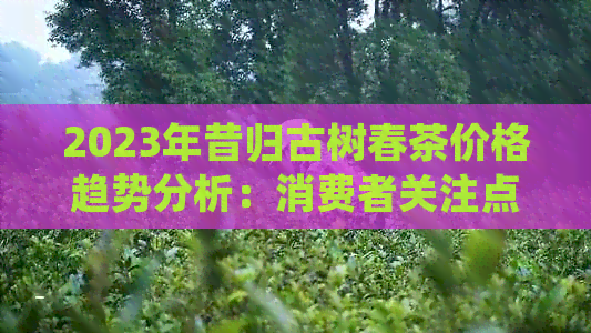 势分析：消费者关注点与市场现状一览无遗球王会网站2023年昔归古树春茶价格趋(图1)